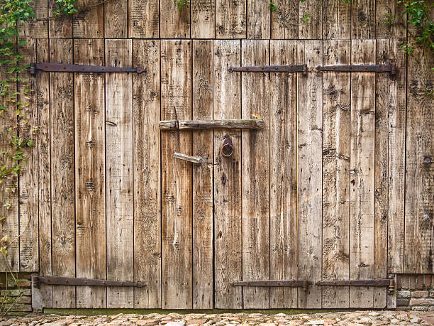 Traditional barn door